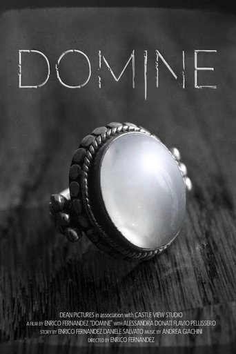 Cartel de Domine