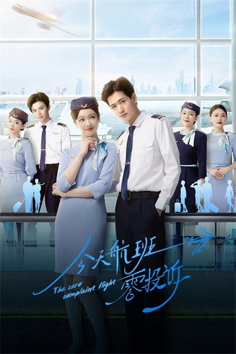 Cartel de 今天航班零投诉