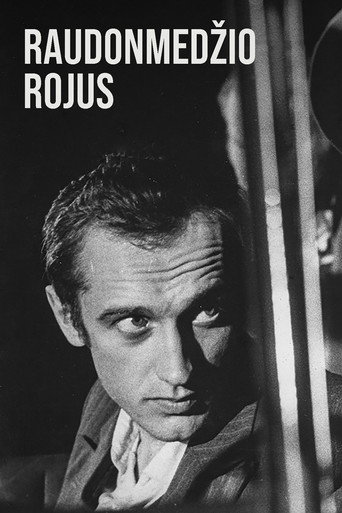 Cartel de Raudonmedžio Rojus