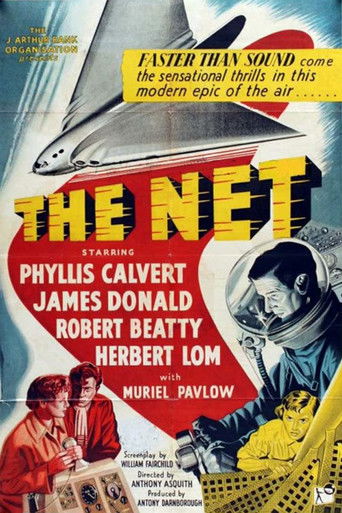 Cartel de The Net