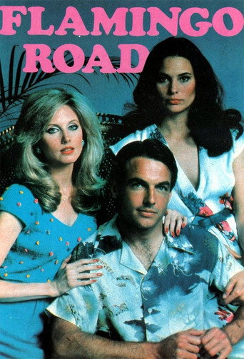 Cartel de Flamingo Road