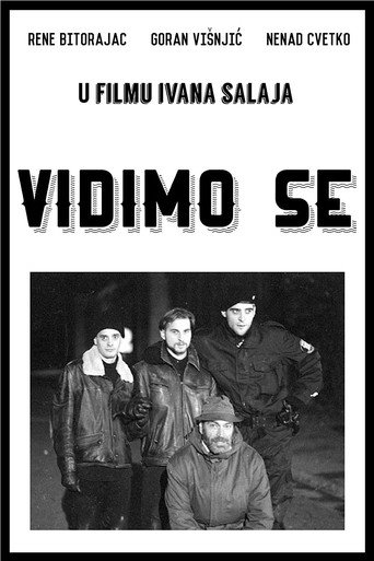 Cartel de Vidimo se