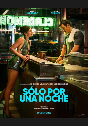 Cartel de Una noche al año
