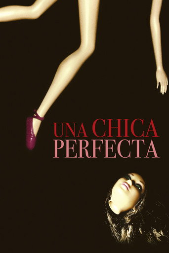 Cartel de Una chica perfecta