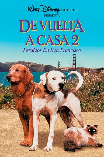 Cartel de De vuelta a casa 2: Perdidos en San Francisco