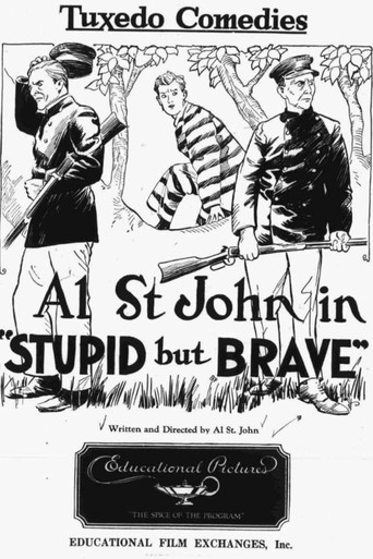 Cartel de Stupid, but Brave