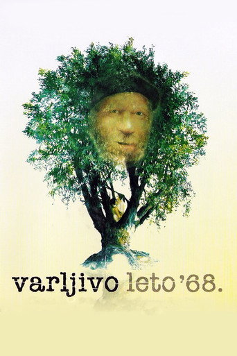 Cartel de The Elusive Summer of '68