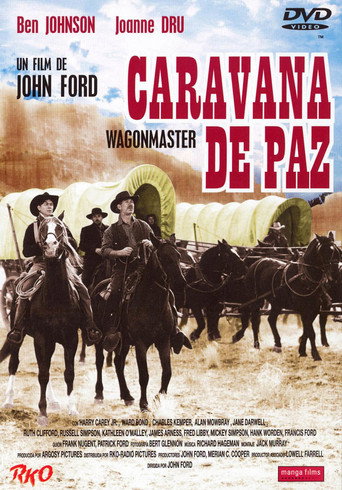 Cartel de Caravana de paz