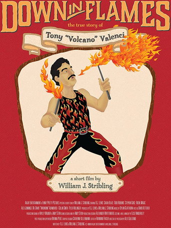 Cartel de Down in Flames: The True Story of Tony Volcano Valenci