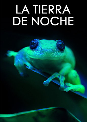 Cartel de La Tierra de noche