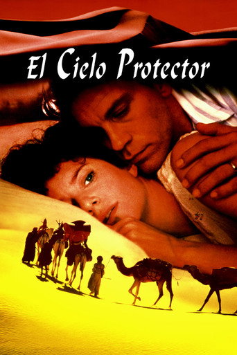 Cartel de El cielo protector