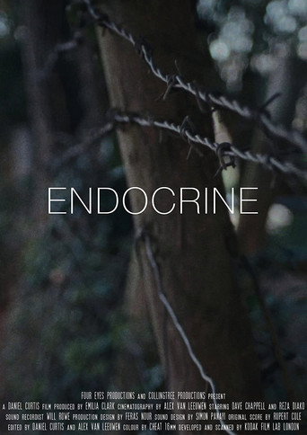 Cartel de Endocrine
