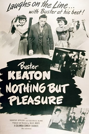 Cartel de Nothing But Pleasure
