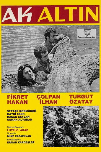 Cartel de Ak Altın