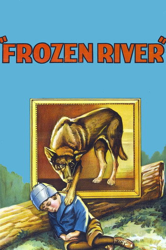 Cartel de Frozen River