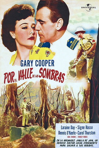 Cartel de Por el valle de las sombras