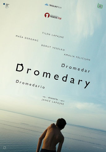 Cartel de Dromedar