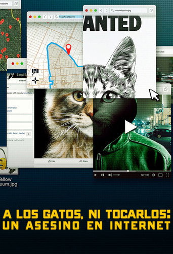 Cartel de A los gatos, ni tocarlos: Un asesino en Internet