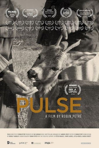 Cartel de PULSE