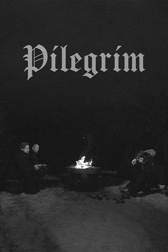 Cartel de Pilegrim