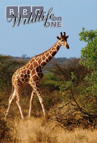 Cartel de Wildlife on One