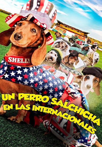 Cartel de Wiener Dog Internationals