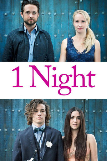 Cartel de 1 Night