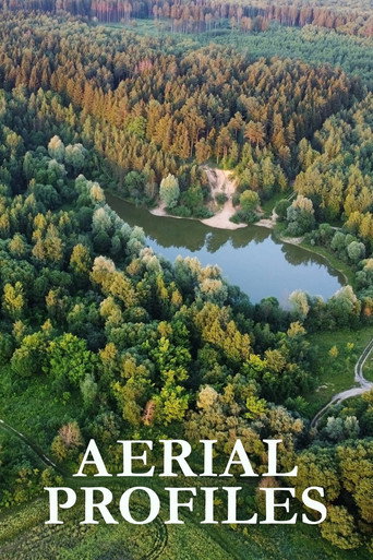 Cartel de Aerial Profiles