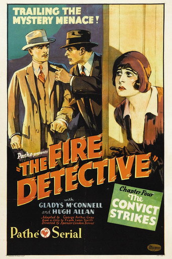 Cartel de The Fire Detective