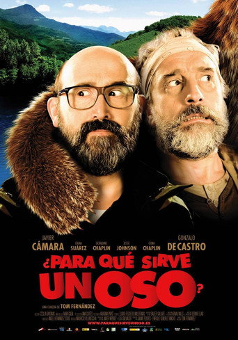 Cartel de ¿Para qué sirve un oso?