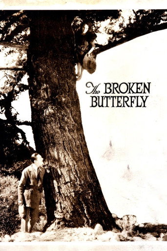 Cartel de The Broken Butterfly