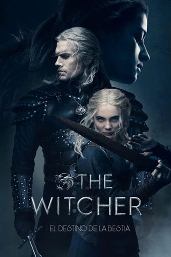 Cartel de The Witcher