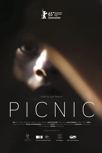 Cartel de Piknik