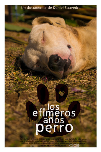 Cartel de Los efímeros años perro