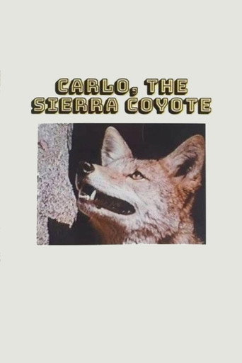 Cartel de Carlo the Sierra Coyote