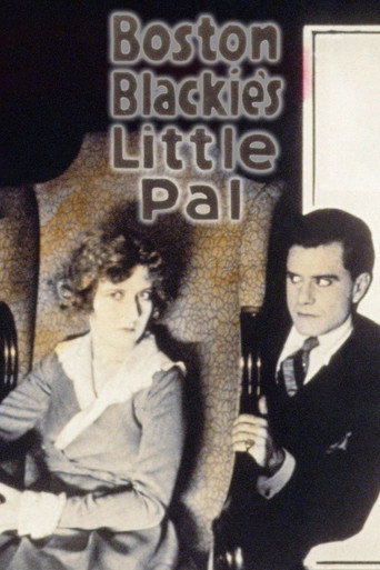 Cartel de Boston Blackie's Little Pal