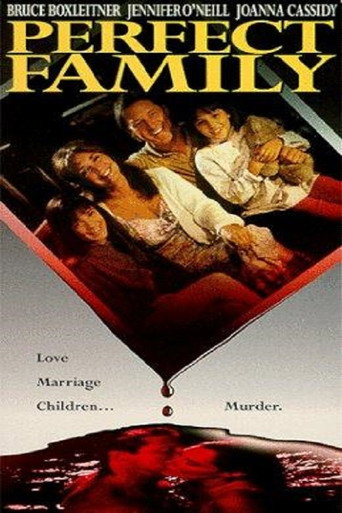Cartel de Perfect Family