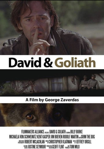 Cartel de David and Goliath
