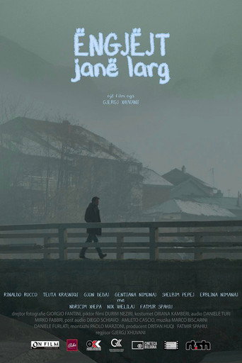 Cartel de Engjëjt janë larg