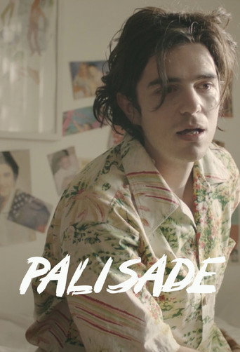 Cartel de Palisade