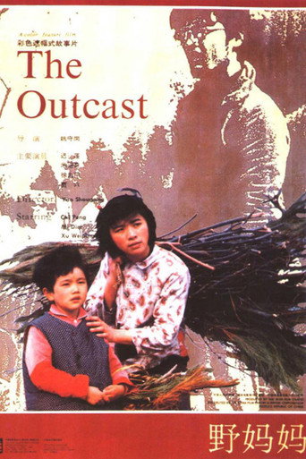 Cartel de 野妈妈