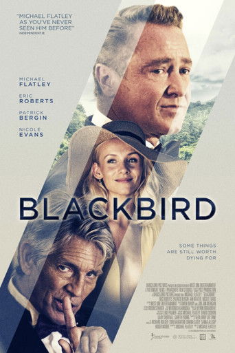 Cartel de Blackbird