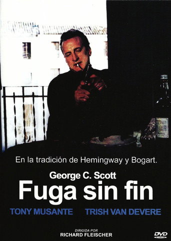 Cartel de Fuga sin fin