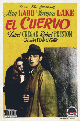 Cartel de El cuervo (Contratado para matar)