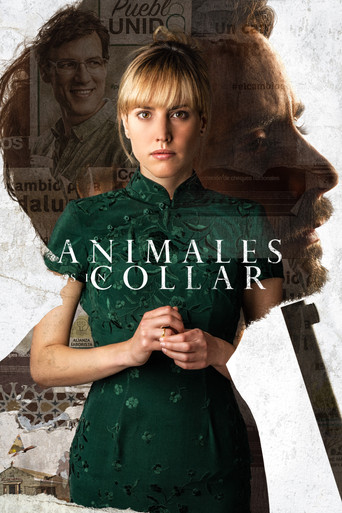 Cartel de Animales sin collar