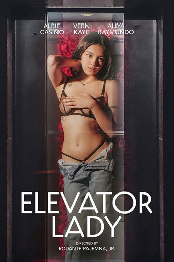 Cartel de Elevator Lady