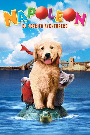 Cartel de Napoleón, el perrito aventurero