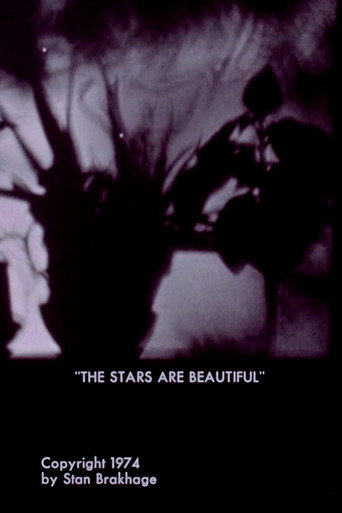 Cartel de The Stars Are Beautiful