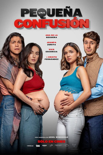 Cartel de Una pequeña confusión