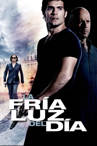 Cartel de La fría luz del día